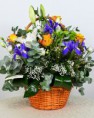 Cosulet Flori Diverse